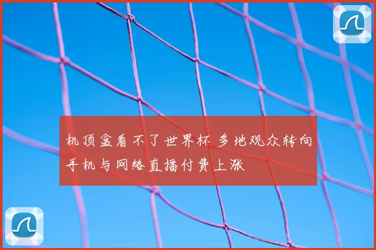 机顶盒看不了世界杯 多地观众转向手机与网络直播付费上涨