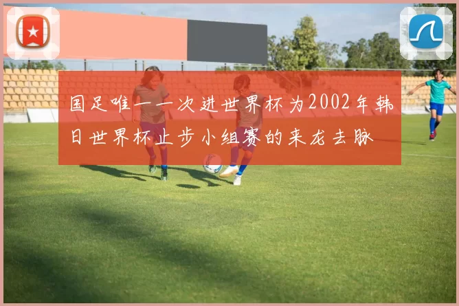 国足唯一一次进世界杯为2002年韩日世界杯止步小组赛的来龙去脉
